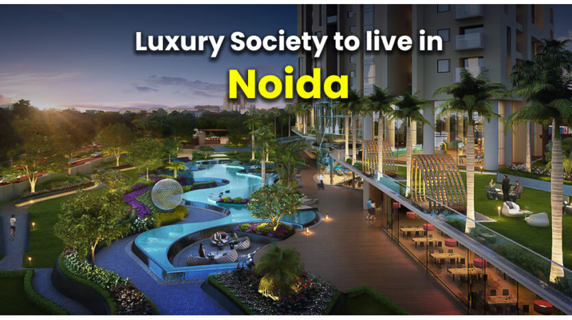 Top 10 Most Expensive Society in Noid